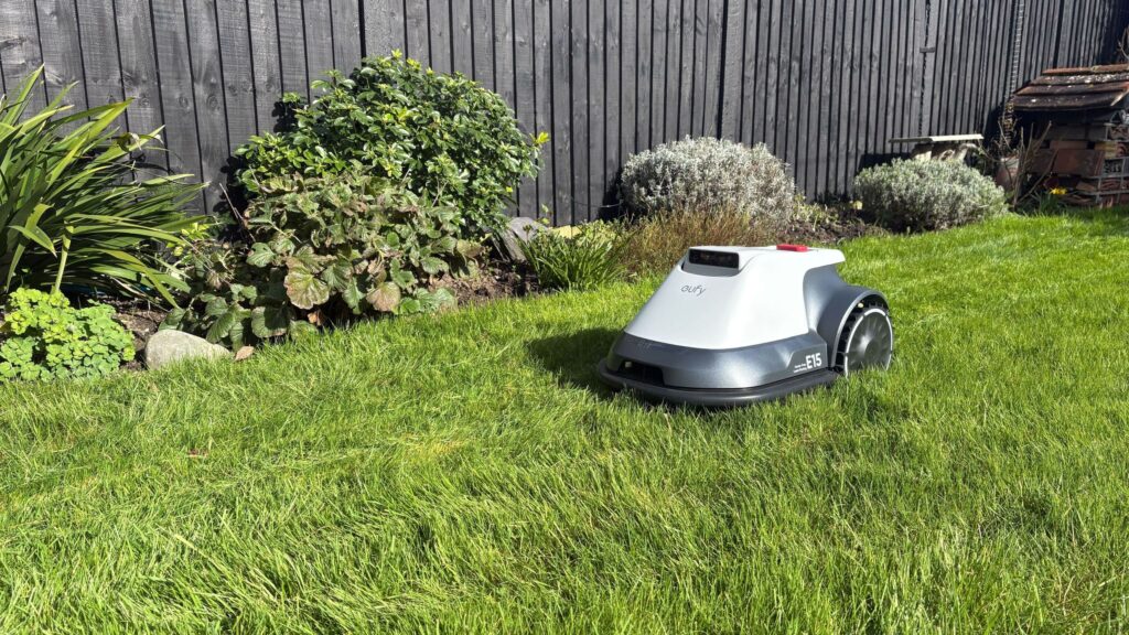 How short should you cut your grass in a heatwave?