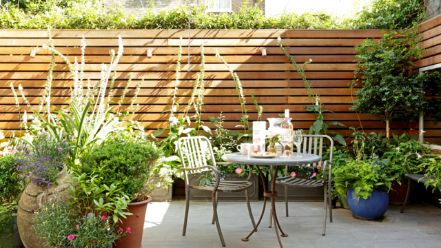 7 ways to make a north-facing garden feel brighter