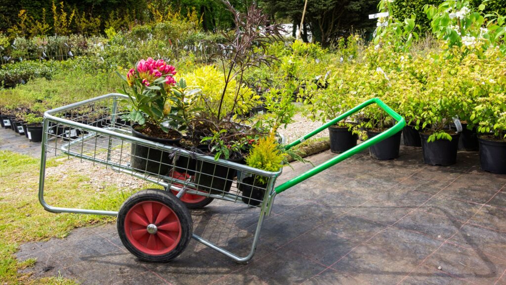 7 high-maintenance plants to avoid in a garden
