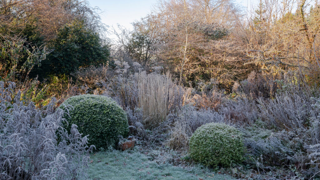 7 things I always bring indoors before the first frost