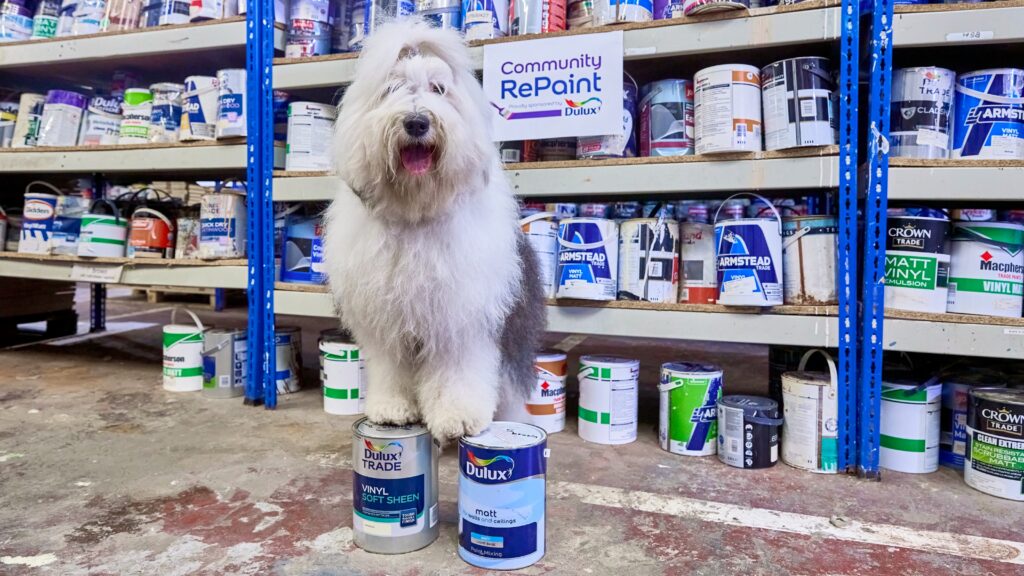 How to use Dulux’s paint redistribution service