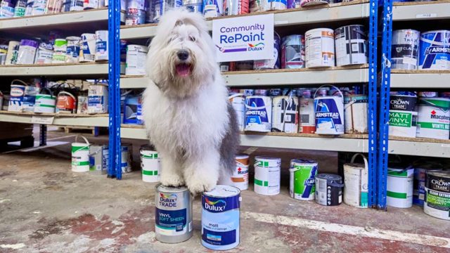 How to use Dulux’s paint redistribution service