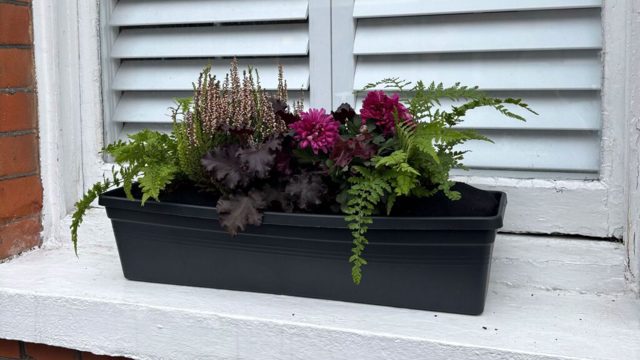 I tried a window box subscription service