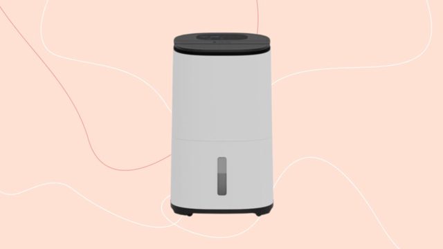 MeacoDry Arete Two dehumidifier review: tried and tested