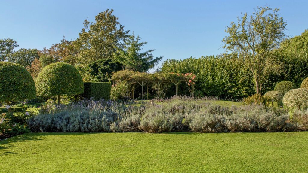 6 drought-tolerant shrubs to plant in May