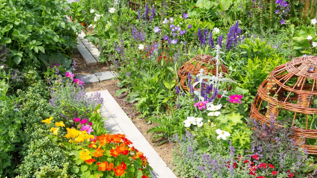 The prettiest edible plants to grow according to experts