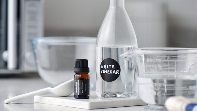 Why experts say to spray vinegar around your home in October