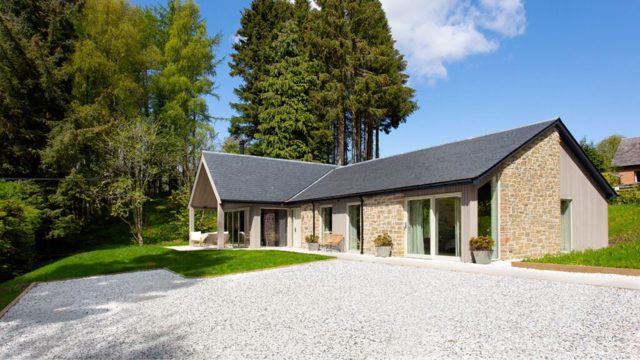 Why experts want you to pour washing powder on your driveway