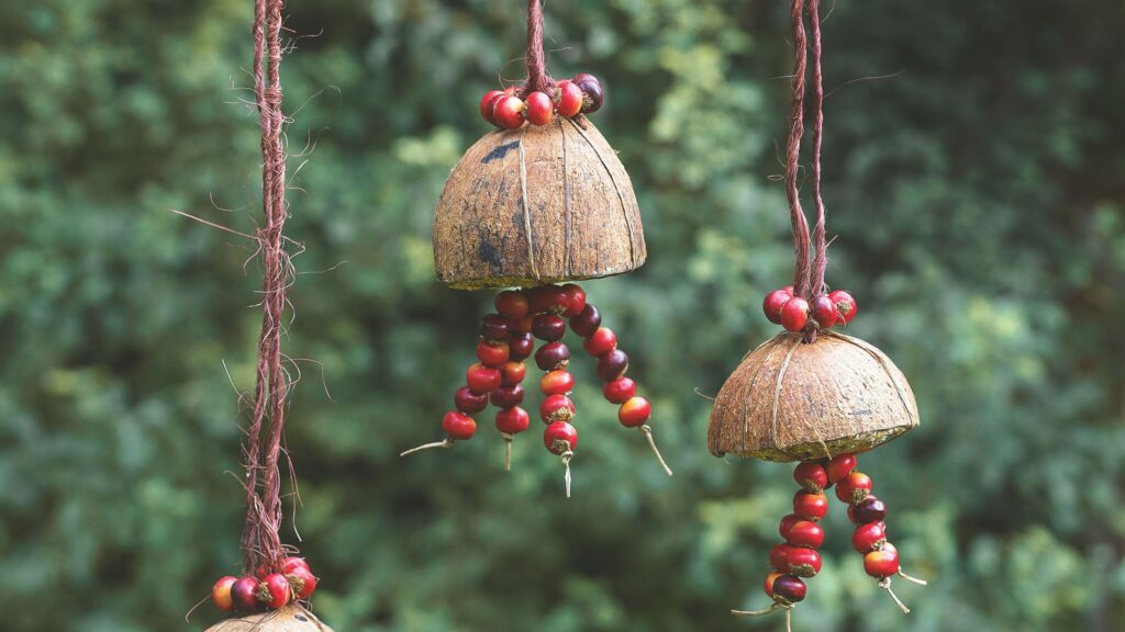 The one thing you should never feed birds in winter