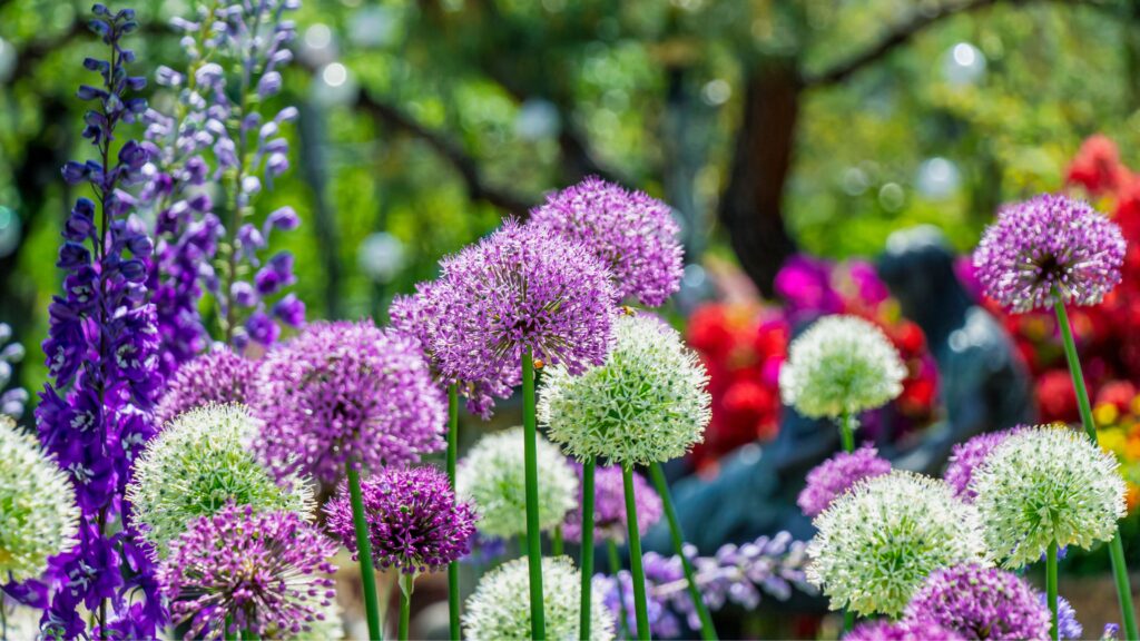 Dobbies ‘sensory’ bulbs are raising money for vital research