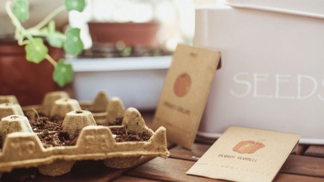 5 ways I’m reusing egg cartons in my garden this spring