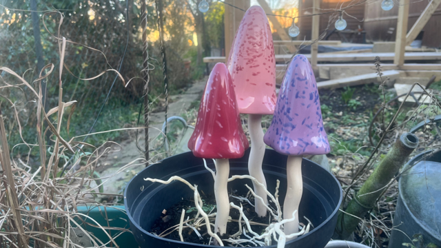 Only the coolest gardeners have a set of Tinkling Toadstools