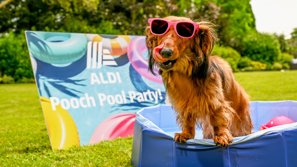 Aldi’s pet cooling range is back for 2026