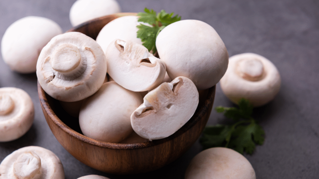 ‘Mushroom water’ is a cheap, effective alt to fertiliser