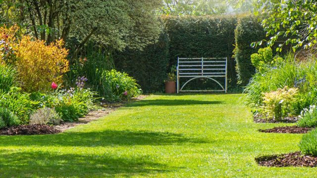 5 autumn lawncare tips I’m using to revive my lawn