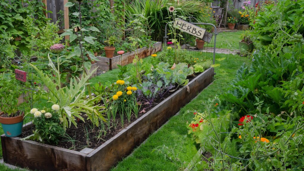 What to plant in empty garden beds in autumn to fill gaps