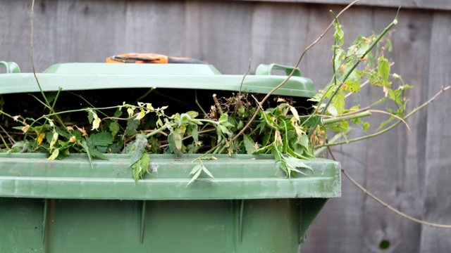 How to get rid of garden waste without a garden waste bin