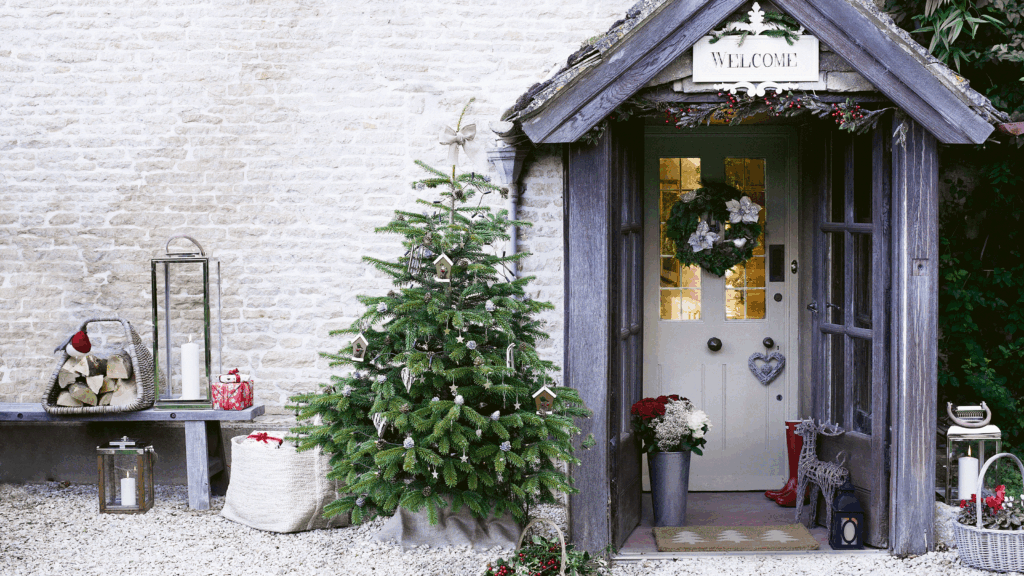 3 ways to reuse pine needles in your garden this winter