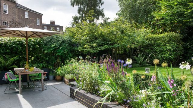 6 plants that stop weeds from taking over your garden beds