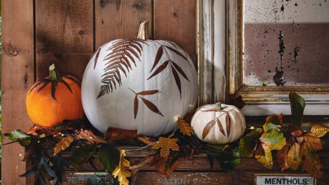 Your Halloween decorations could land you with a huge fine