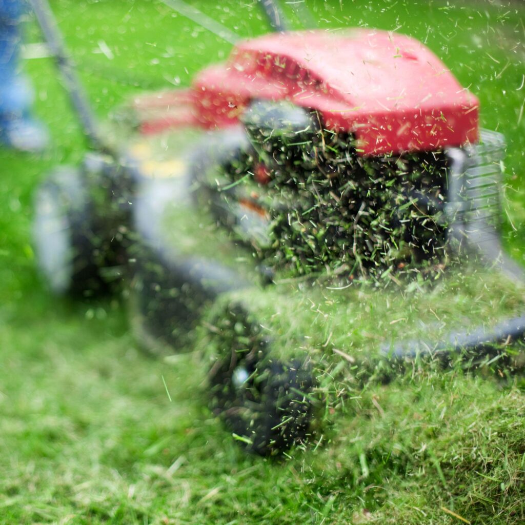 The one mowing habit experts say to stop in September
