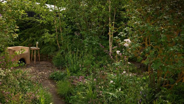 How to create a pocket woodland in your garden