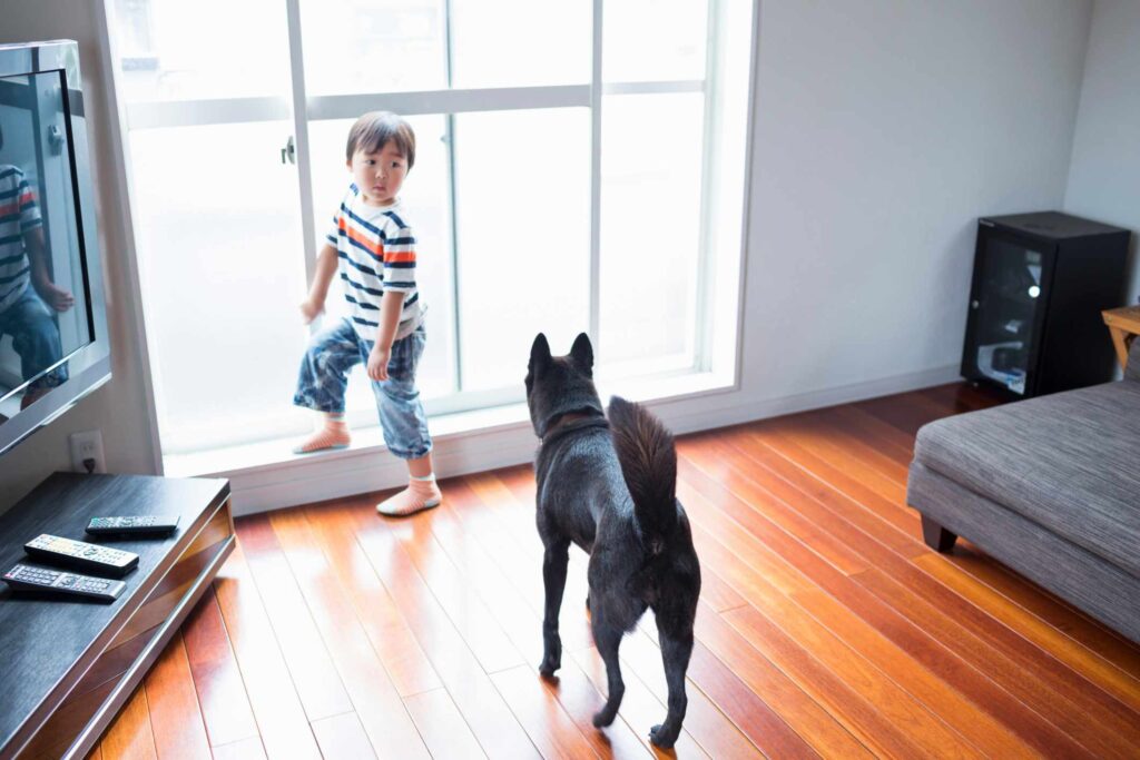 8 Most Durable Flooring Options for Heavy Foot Traffic