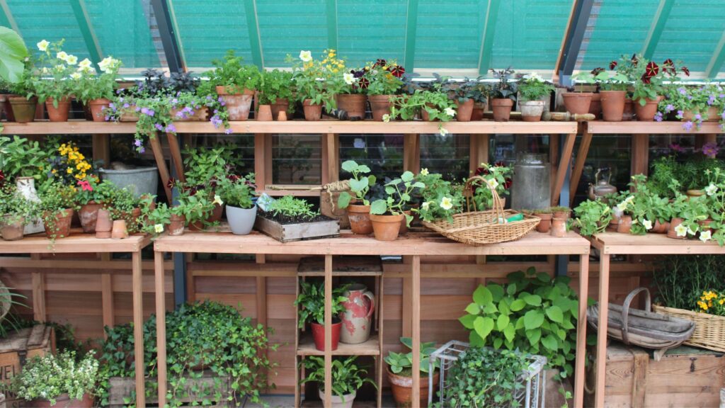 George Home is selling a bargain potting bench