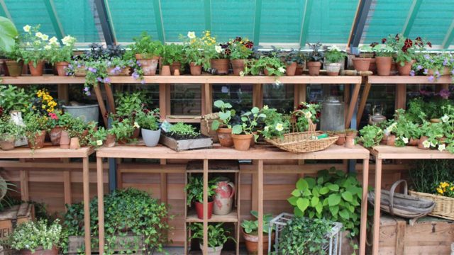 George Home is selling a bargain potting bench