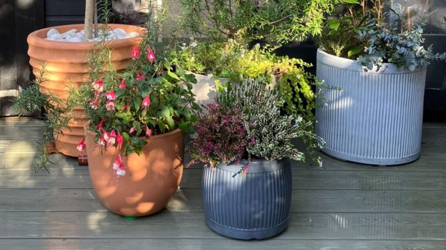 DIY pot feet ideas to stop frost damage and waterlogging