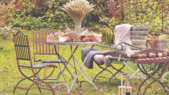 The 1 place you should never, ever put wet leaves