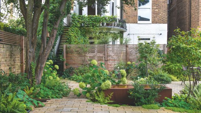 7 no-effort shrubs that thrive on neglect and add colour