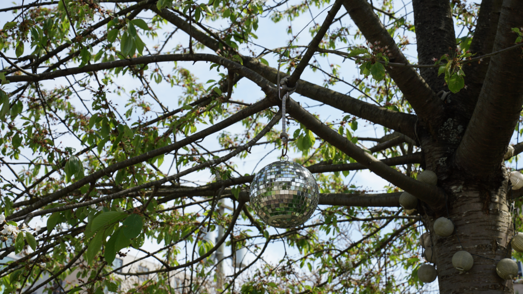 Why gardeners are sticking disco balls in their gardens