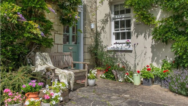 How to protect your plants from slugs and snails in April