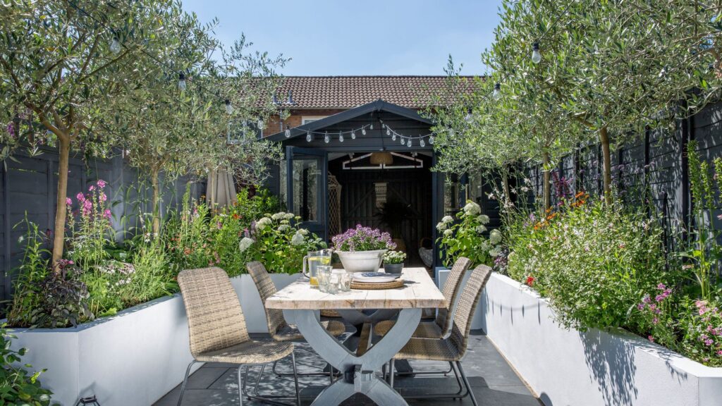 7 low-maintenance multi-stem trees for small gardens