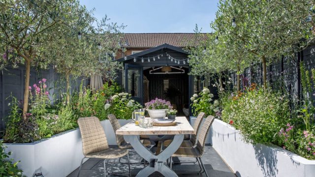 5 ways to make a mosquito-proof garden, according to pros
