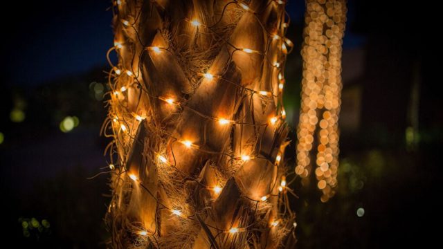 These Amazon outdoor net lights are perfect for decorating trees