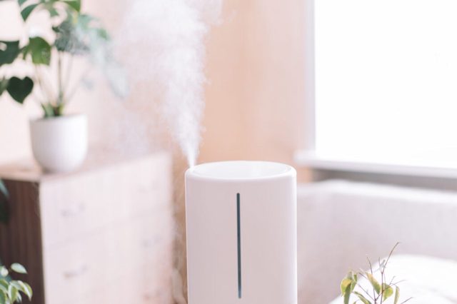 Where’s the Best Place to Put Your Humidifier in Winter?