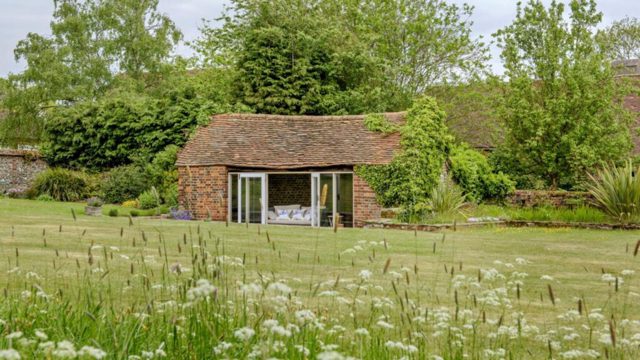 How to stop weeds taking over during No Mow May