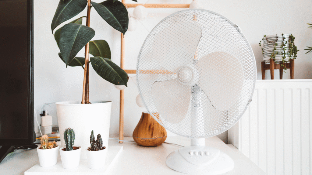 Why I’m using a fan all winter in my damp home