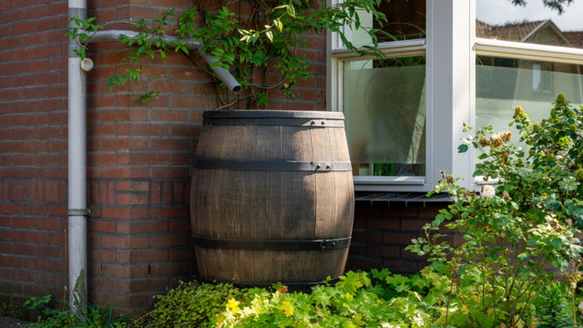 I’ve found a stash of the most stylish water butts