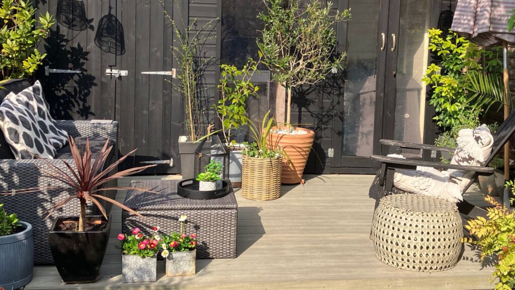 Monty Miracle outdoor cleaner restored my garden decking