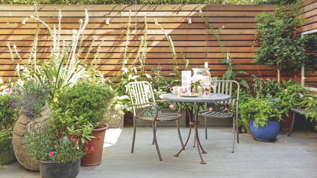 Birth month perennials: all 12 and their special meanings
