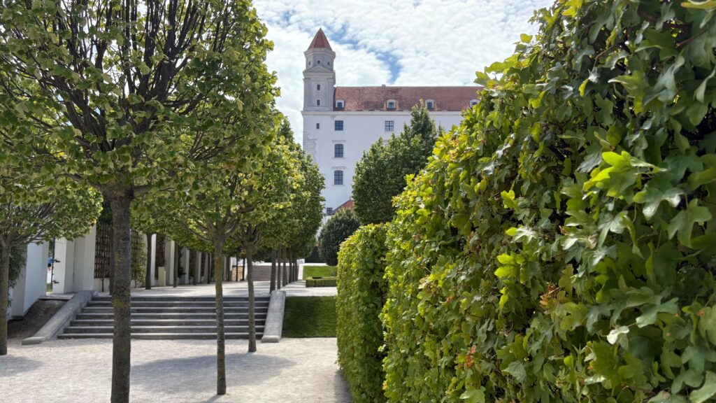 The low-maintenance hedge idea I picked up in Bratislava