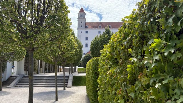 The low-maintenance hedge idea I picked up in Bratislava