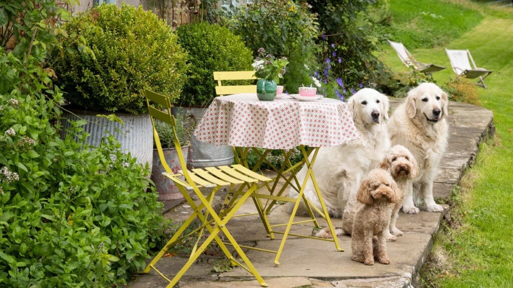 36 garden seating ideas for a next level outdoor experience