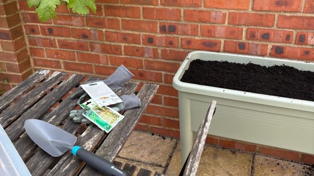 This grow table is the perfect small-space vegetable patch