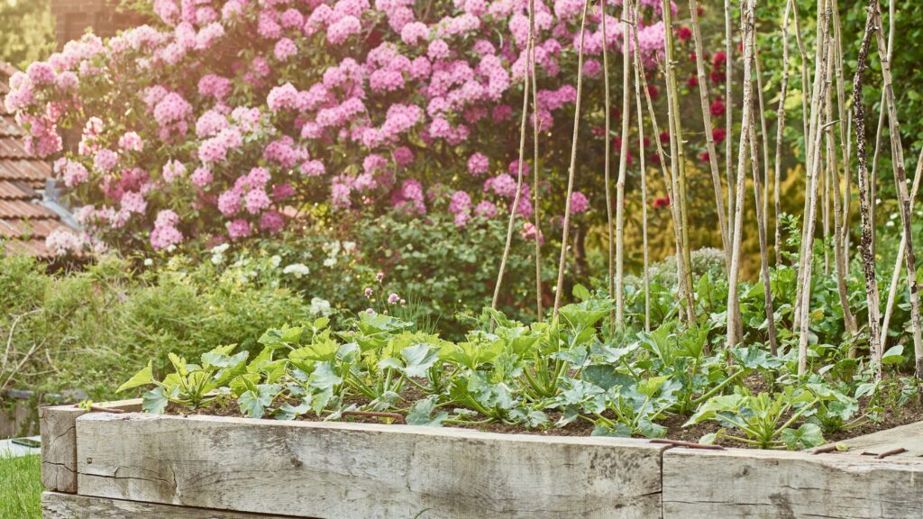 This Native American planting trick is ideal for small gardens