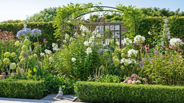 5 perennial plants to divide up in March