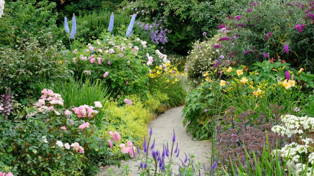 6 old-fashioned plants making a big comeback in 2026